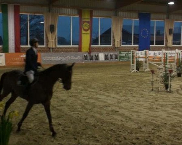 jumper La Kado (Westphalian, 2002, from Laomedon)
