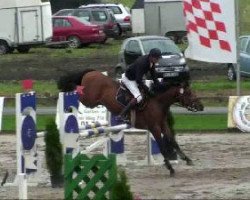 jumper Calino G (Oldenburg, 2005, from Con Capitol)