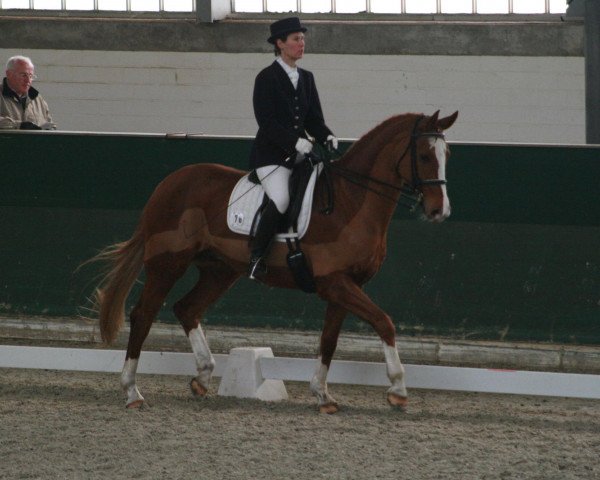 horse Diavolo Rouge (Hanoverian, 2001, from Dacaprio)