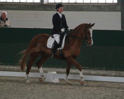 horse Diavolo Rouge (Hanoverian, 2001, from Dacaprio)