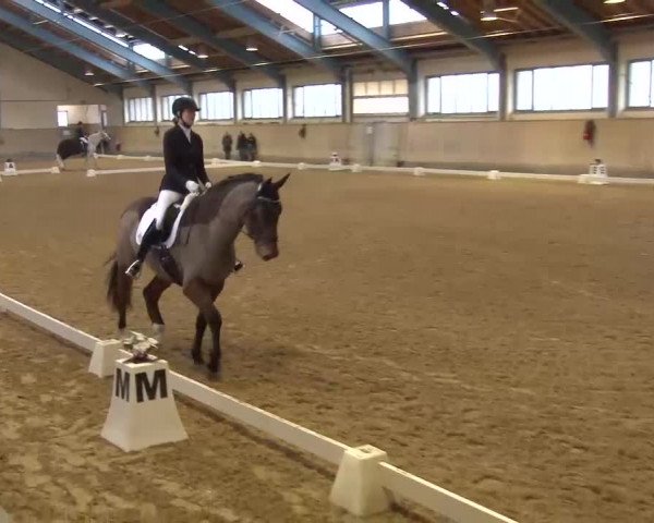 Reitturnier Kreuth/Opf. 2022