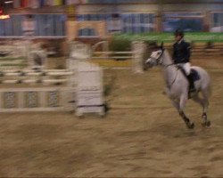 jumper Colwyn Bay (Zweibrücken, 2000, from Condor)