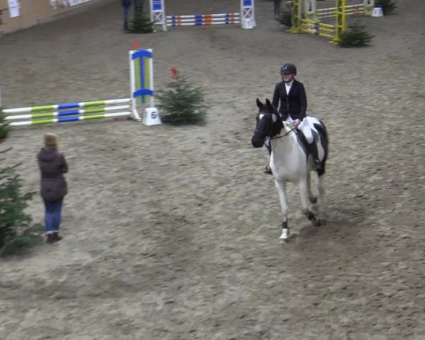 Reitturnier Leck 2022