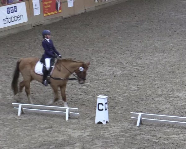 Reitturnier Leck 2022