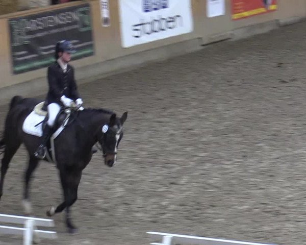 Reitturnier Leck 2022