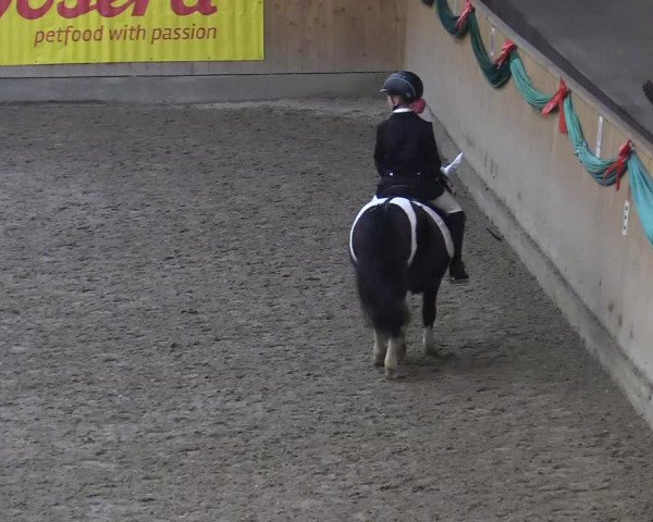 Reitturnier Leck 2022