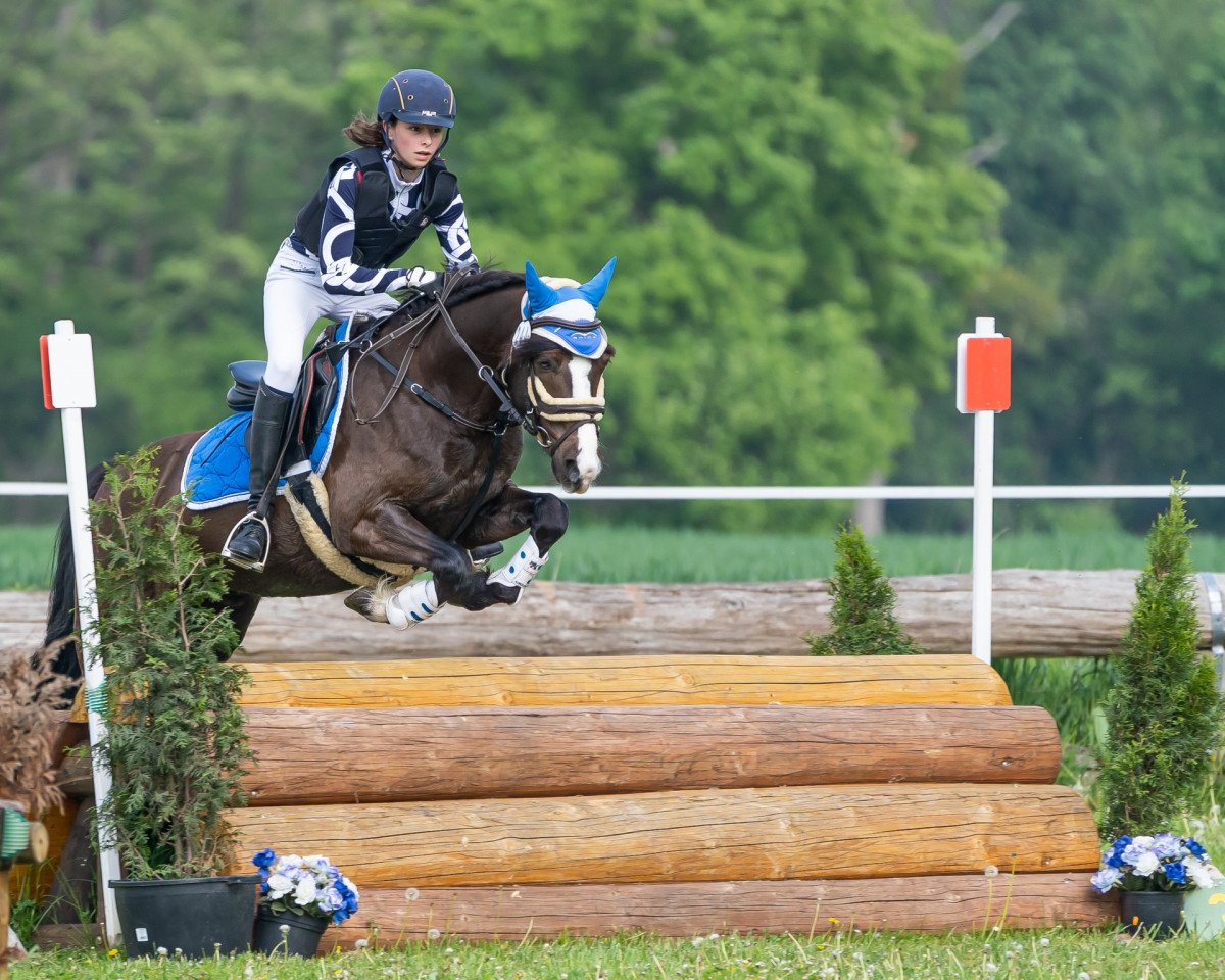 jumper Isaris Golden Samboca (Welsh Mix, 2008, from Moflos Zmirnof)