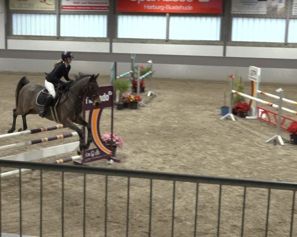 Reitturnier Luhmühlen 2022