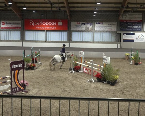 Reitturnier Luhmühlen 2022