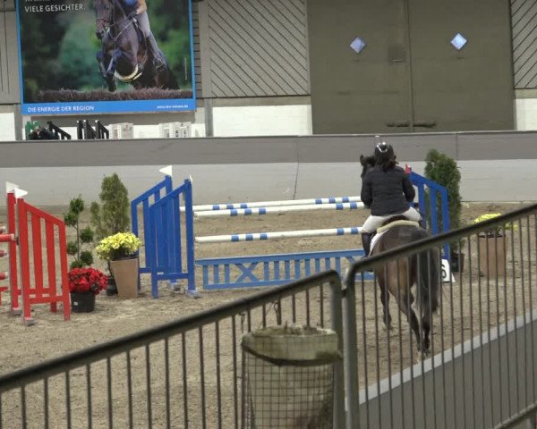 Reitturnier Luhmühlen 2022