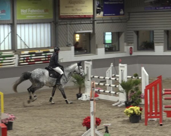 Reitturnier Luhmühlen 2022