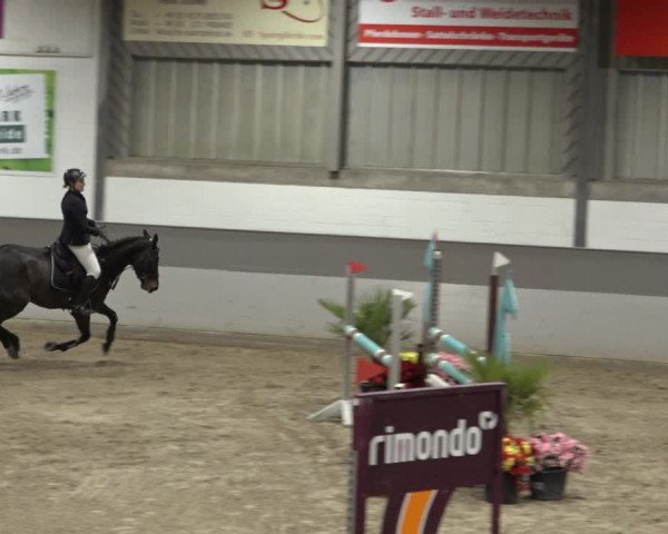 Reitturnier Luhmühlen 2022