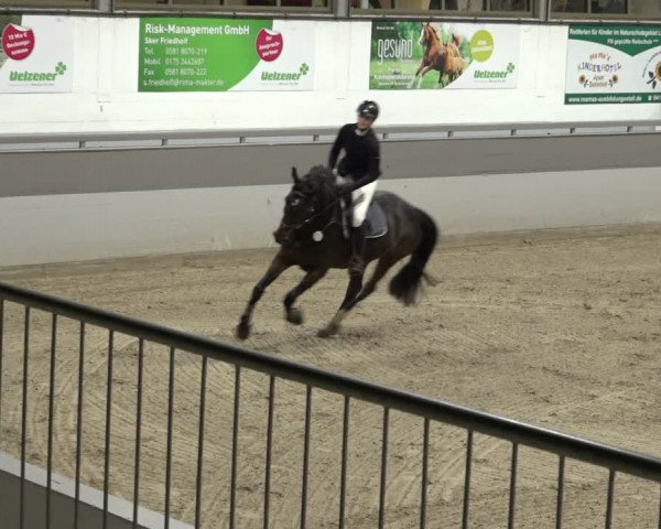 Reitturnier Luhmühlen 2022