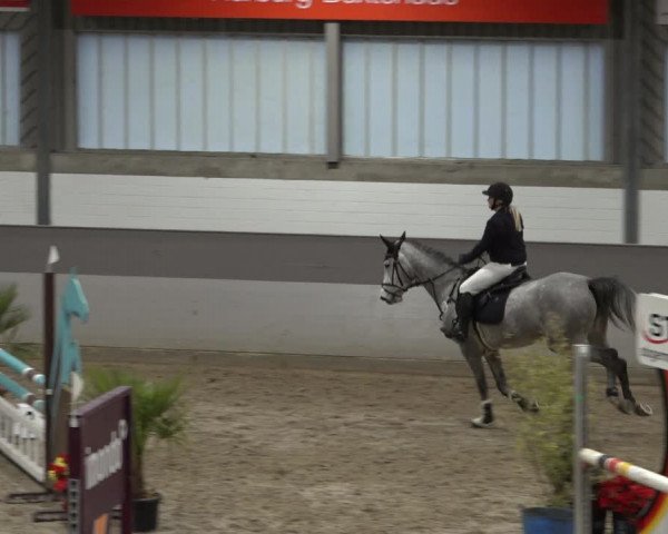 Reitturnier Luhmühlen 2022
