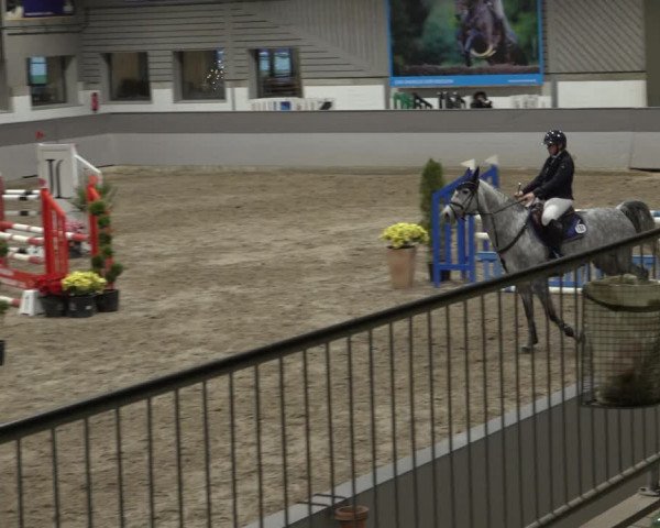 Reitturnier Luhmühlen 2022
