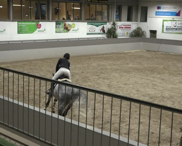 Reitturnier Luhmühlen 2022