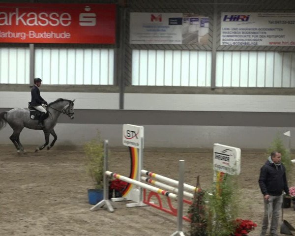 Reitturnier Luhmühlen 2022
