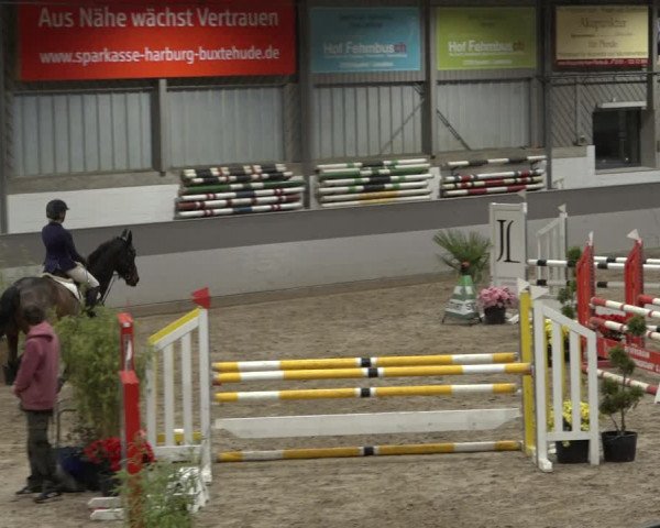 Reitturnier Luhmühlen 2022