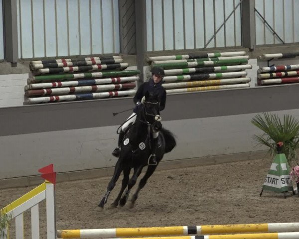 Reitturnier Luhmühlen 2022