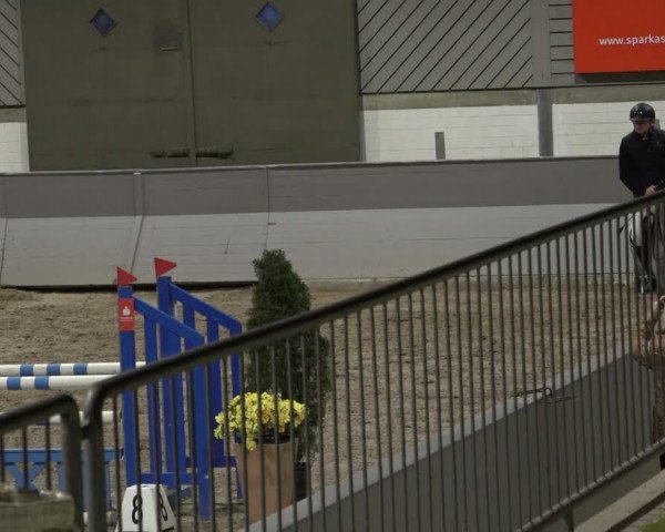 Reitturnier Luhmühlen 2022