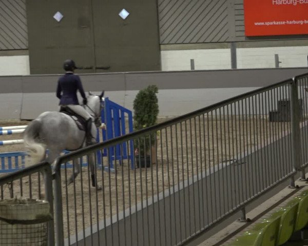Reitturnier Luhmühlen 2022
