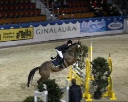 Springpferd Flotte Lotte 7 (Westfale, 2005, von Florentino)