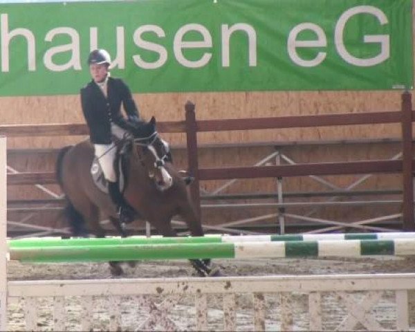 jumper Lacord 5 (Oldenburg, 1996, from Lafitte)
