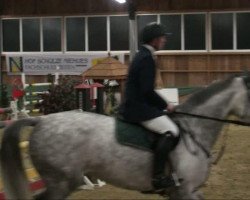 jumper Carriott (Zangersheide riding horse, 1999, from Carthago)