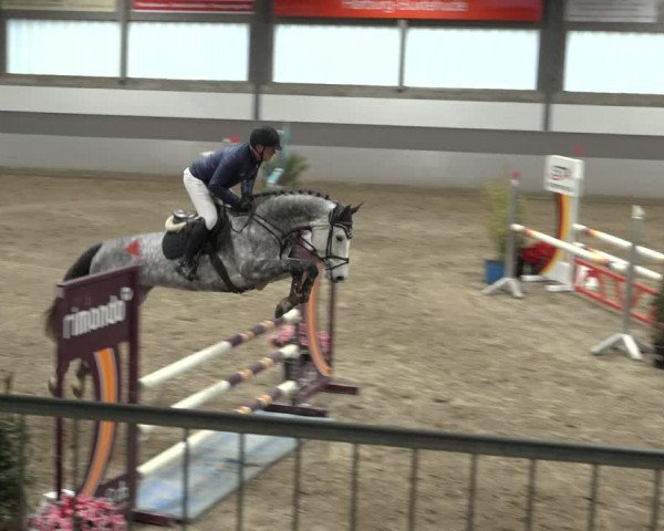 Reitturnier Luhmühlen 2022