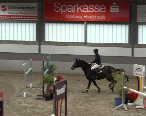Reitturnier Luhmühlen 2022