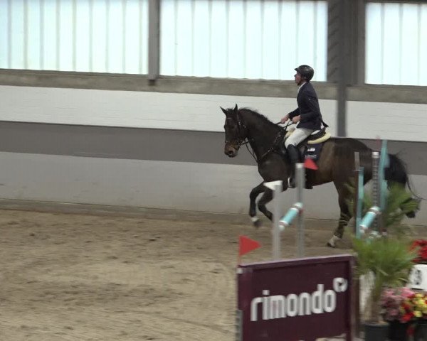 Reitturnier Luhmühlen 2022