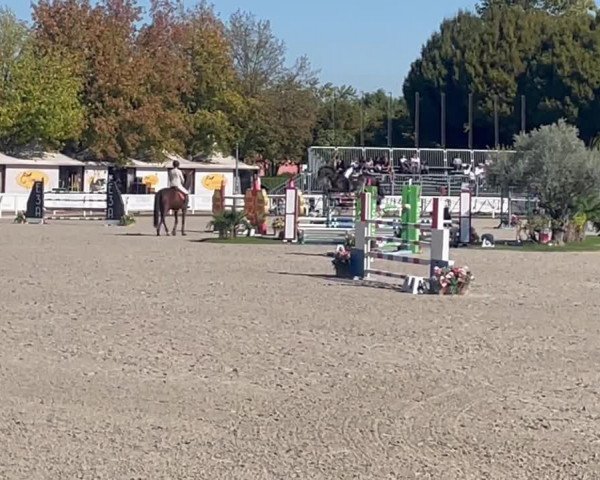 Video of Cascadina 3