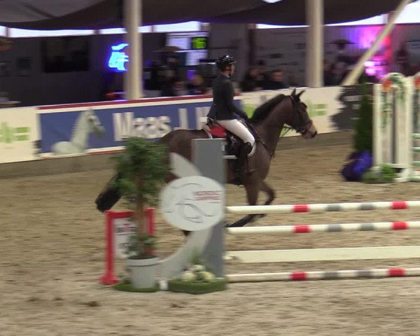 6. Nordic Jumping event Negernbötel 2022