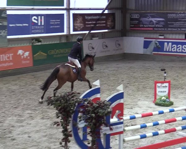 6. Nordic Jumping event Negernbötel 2022