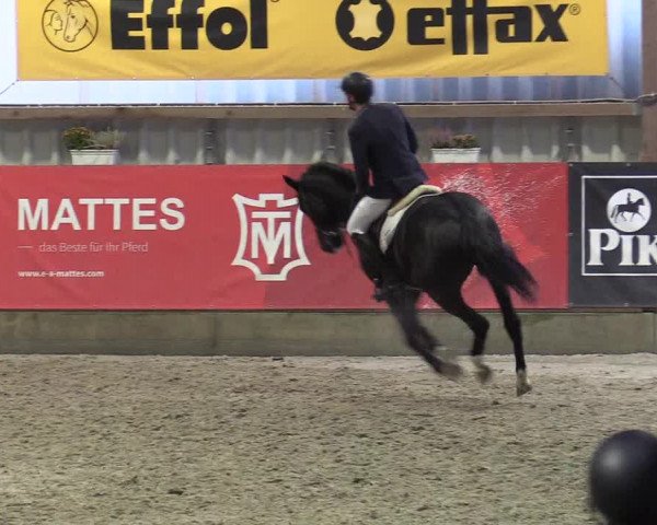 6. Nordic Jumping event Negernbötel 2022