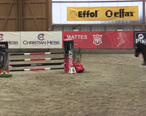 6. Nordic Jumping event Negernbötel 2022
