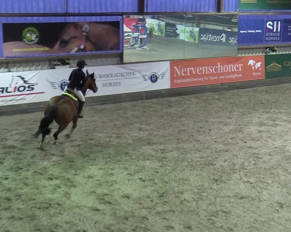 6. Nordic Jumping event Negernbötel 2022