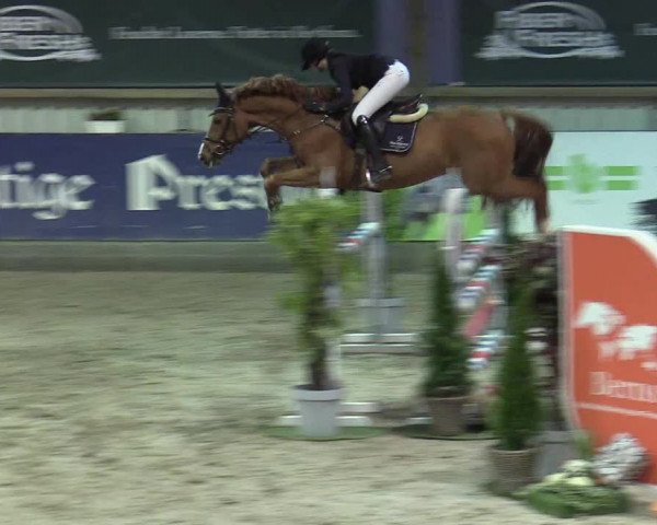 6. Nordic Jumping event Negernbötel 2022