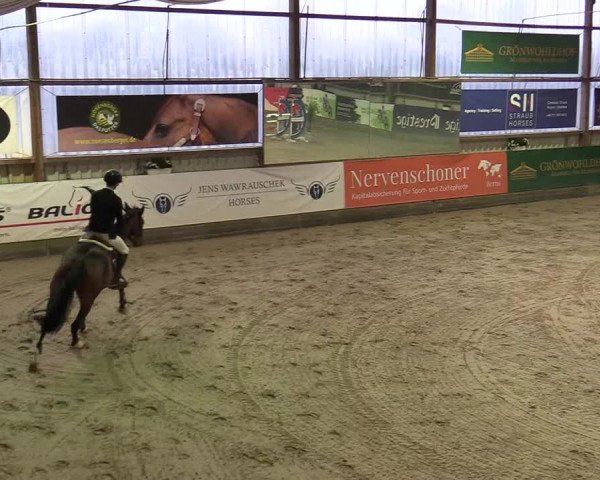 6. Nordic Jumping event Negernbötel 2022