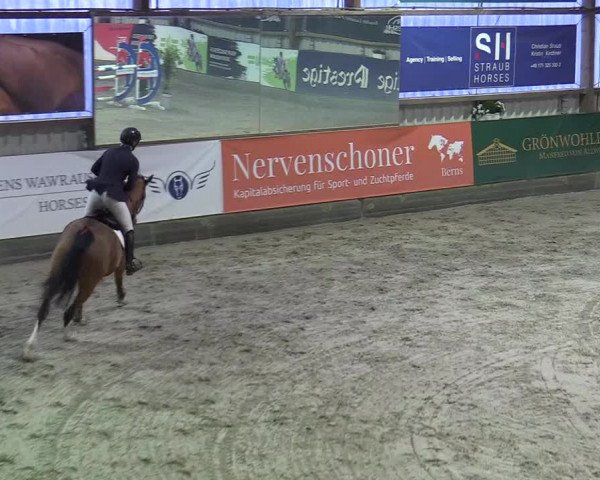 6. Nordic Jumping event Negernbötel 2022