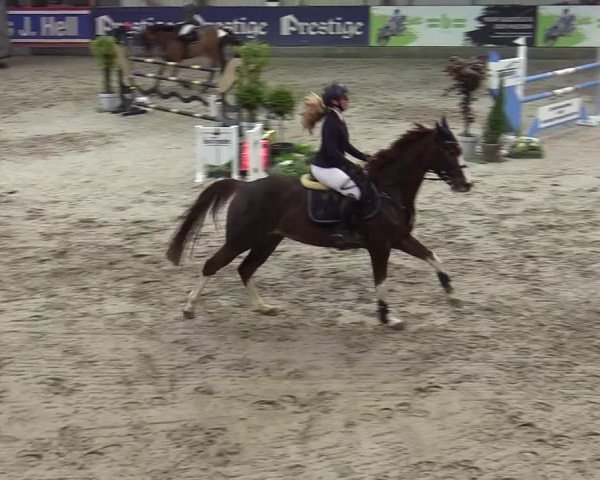 6. Nordic Jumping event Negernbötel 2022