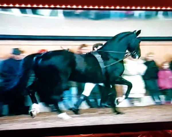 Vídeo de Donnerwetter