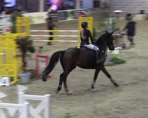 6. Nordic Jumping event Negernbötel 2022