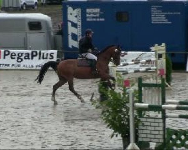 jumper Landagent (Oldenburg, 2000, from Landjonker (Fruhling))