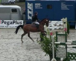 jumper Landagent (Oldenburg, 2000, from Landjonker (Fruhling))