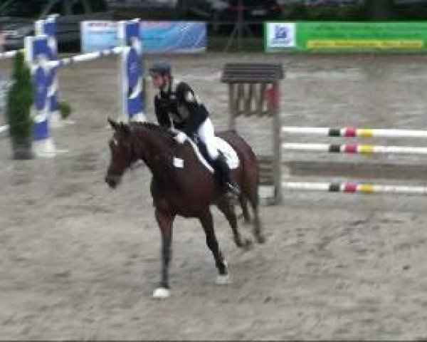 Zuchtstute Carina (Westfale, 2001, von Cordobes I)