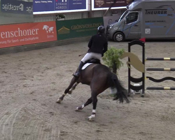 6. Nordic Jumping event Negernbötel 2022