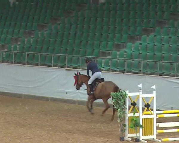 Reitturnier Kreuth 2022