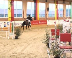 jumper Floriana 14 (Westphalian, 1999, from Florestan I)