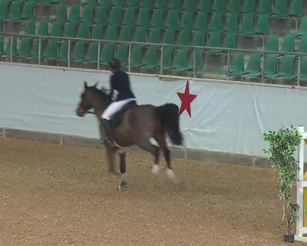 Reitturnier Kreuth 2022